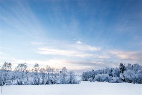 "Winter Landscape In Sweden" by Stocksy Contributor "Andreas Gradin" - Stocksy