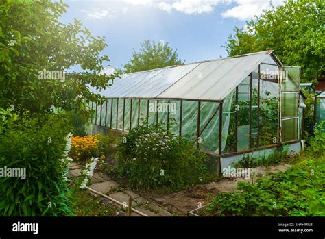 Traditional old greenhouse in the garden Stock Photo - Alamy