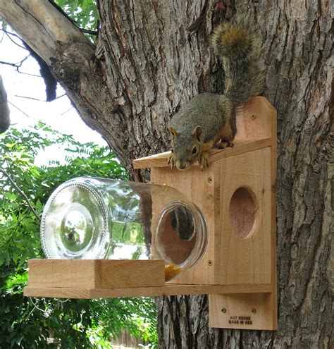 The Nut House Nuthouse Squirrel Jar Feeder - Great Gift and ...