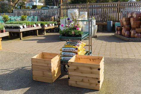 How to Garden in Planter Boxes: A Swansons Nursery and Dunn DIY Collaboration — Seattle's ...