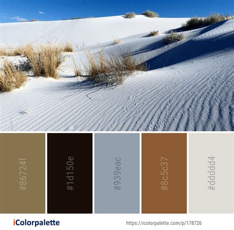 20 Dune Color Palette ideas in 2024 | iColorpalette