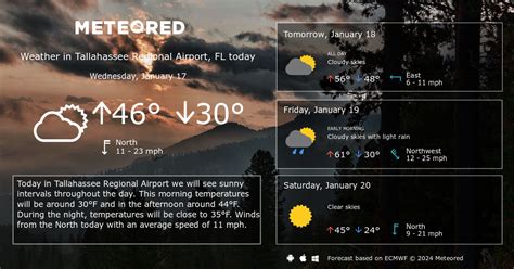 Tallahassee Regional Airport, FL Weather 14 days - Meteored