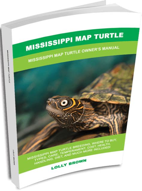 Lolly Brown | About Mississippi Map Turtle