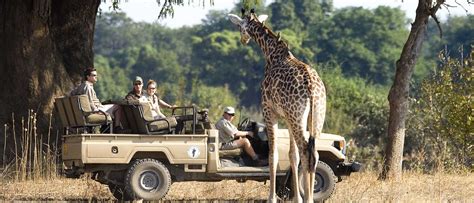 Zambia safari | Holidays in Zambia | Safari in Zambia Africa