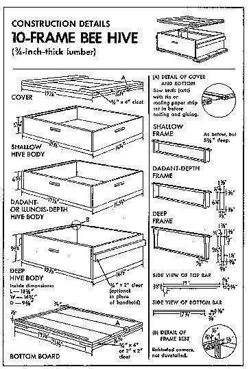 How to Build a Beehive | Bees | Bee hive plans, Bee hives boxes, Bee keeping