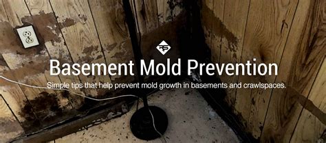 Simple Steps to Prevent Mold in Basement | RadonSeal