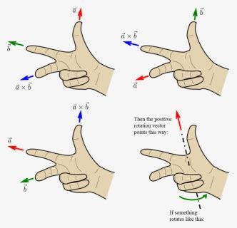 Thumb Vector Positive - Right Hand Rule Physics Torque , Free ...