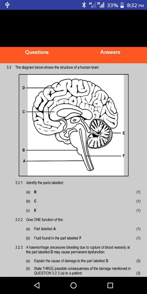 Life Sciences Grade 12 Worksheets - Scienceworksheets.net