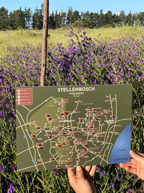 Stellenbosch Wine Route Pin Map - Itchy Feet