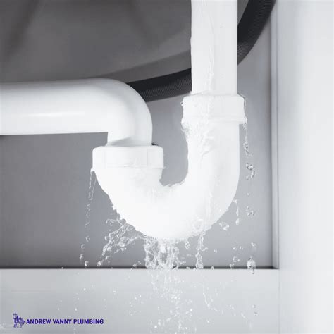 6 Major Signs You Have a Burst Pipe - Andrew Vanny Plumbing