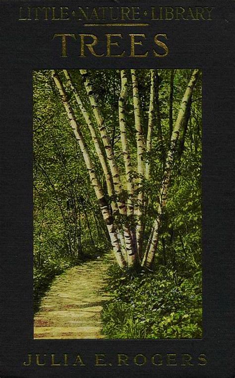 Trees by Julia E. Rogers Vintage Book Covers, Vintage Books, Old Books, Antique Books, Book ...