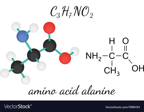 Alanine Amino Acid Structure