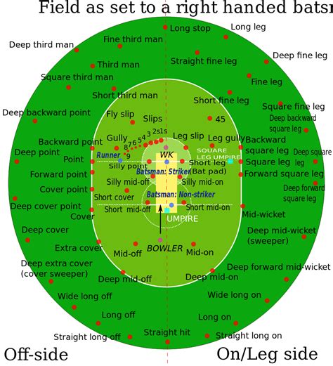 File:Cricket field positions.svg - Wikipedia