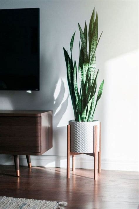 15+ Lovely Plant Decor Ideas for Your House | Mid century living room decor, Mid century modern ...