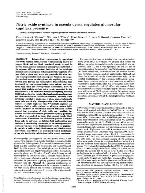 (PDF) Nitric oxide synthase in macula regulates glomerular ... · Glomerular capillary pressure ...