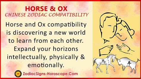 Horse and Ox Chinese Zodiac Compatibility: Love and Relationship | ZSH