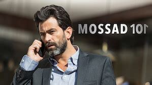 Israeli Movies & TV | Netflix Official Site