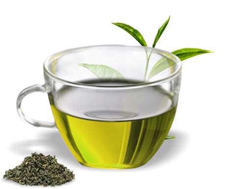 Green tea Assam tea Oolong Herbal tea - green tea png download - 805*655 - Free Transparent ...