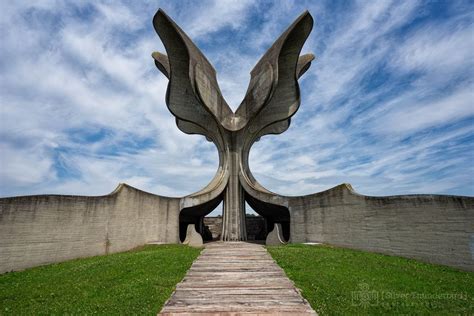 Jasenovac stone flower