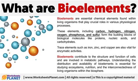 What are Bioelements