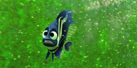 Finding Nemo Main Characters, Ranked By Funniness