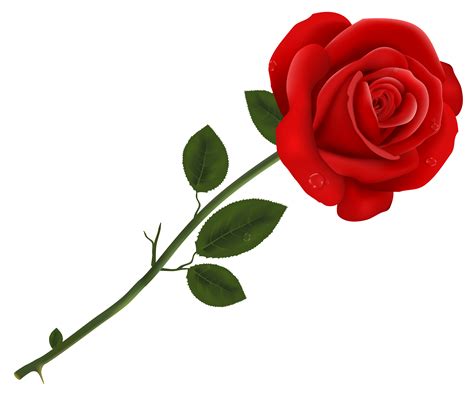 Images Of Rose - ClipArt Best