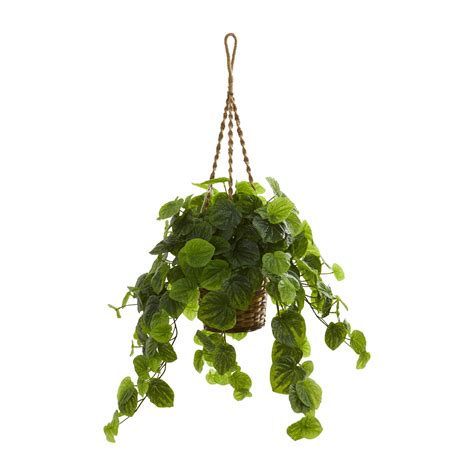 Nearly Natural 34in. Peperomia Artificial Plant in Hanging Basket (Real Touch), Green - Walmart ...