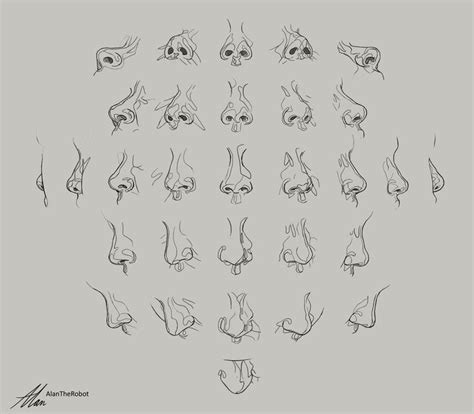 Pin by Shane Krolikowski on Drawing Reference | Head & Facial Features ...