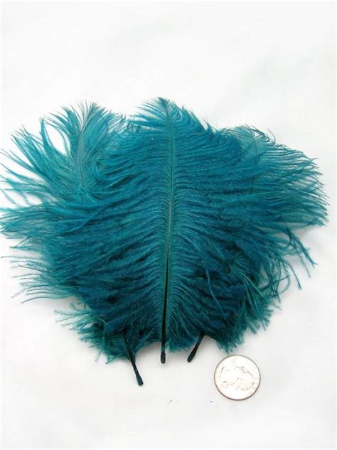 TEAL BLUE Ostrich Feather Drab (3 Feathers) Pristine DIY Ostrich ...