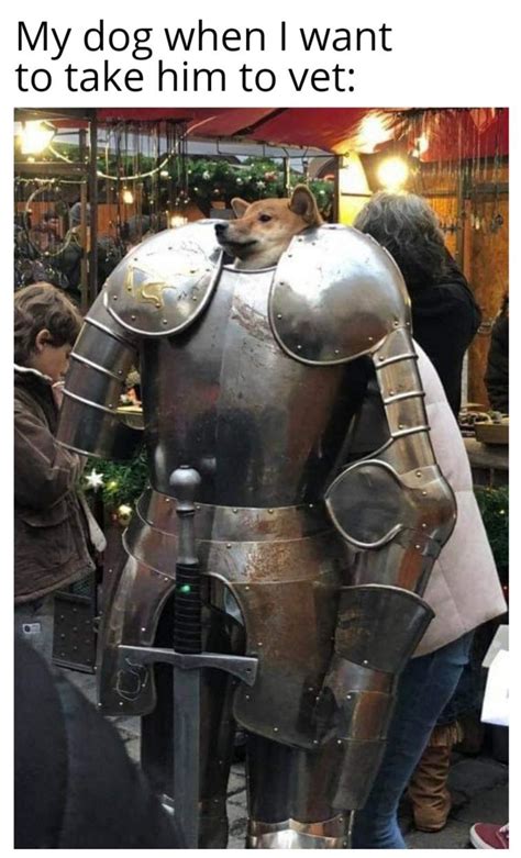 Nice medieval armor : r/memes