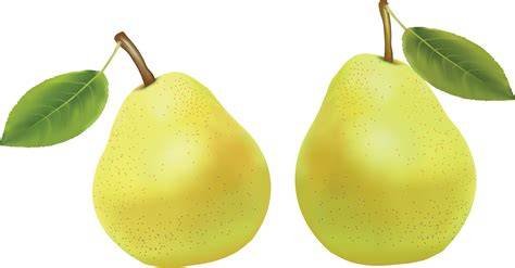 Pear PNG Image - PurePNG | Free transparent CC0 PNG Image Library