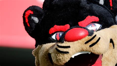 University of Cincinnati: What is a bearcat?