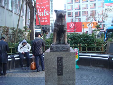 Shibuya - Hachiko Statue by mdc01957 on DeviantArt