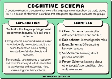 15 Schema Examples (In Learning Psychology) (2024)