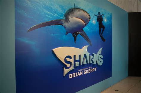 11alive.com | Shark exhibit opening Monday at Georgia Aquarium