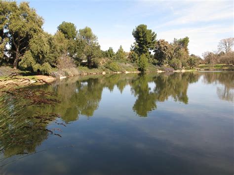 UC Davis Arboretum and Public Garden: лучшие советы перед посещением ...