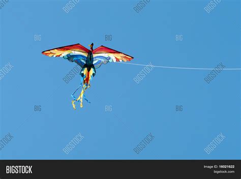 Bird Kite Image & Photo (Free Trial) | Bigstock