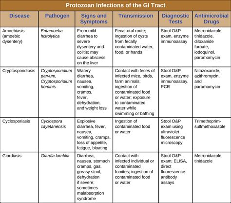 24.5: Protozoan Infections of the Gastrointestinal Tract - Biology ...