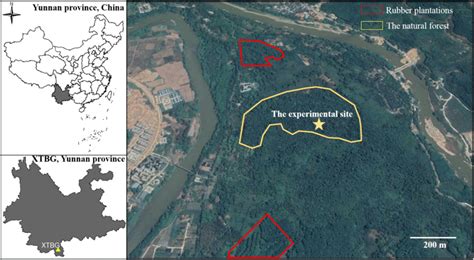 Map of the study area at Xishuangbanna Tropical Botanical Garden ...