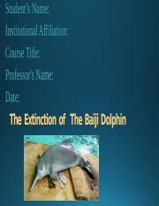 The Extinction of The Baiji Dolphin.pptx - Student’s Name: Institutional Affiliation: Course ...