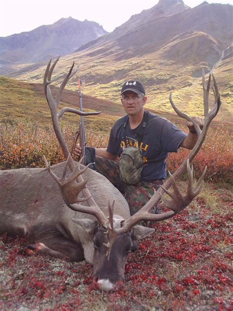 Caribou Hunting in Alaska – Midnight Sun Safaris