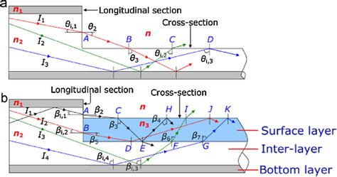 Schematic diagram of light transmission models in the sensing region ...