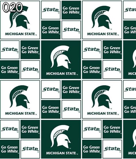 NCAA Michigan State Spartans 020 Block Green & White