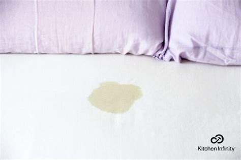 How To Remove Urine Stains From Clothes - Homestyling Guru