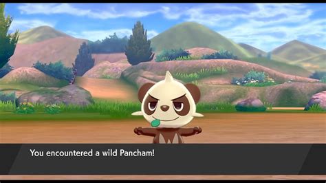 LIVE! Shiny Pancham after 1,958 REs in Pokemon Sword!!! - YouTube