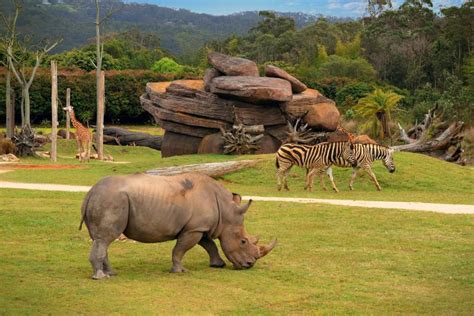 Australia Zoo | Steve Irwin