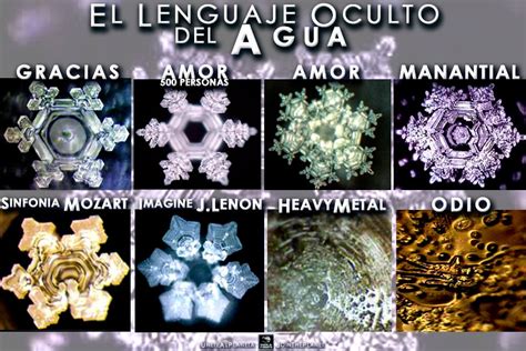 LOS MENSAJES OCULTOS DEL AGUA MASARU EMOTO PDF