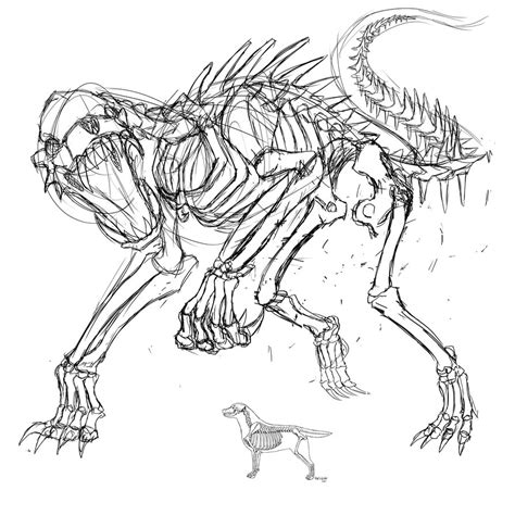 Dog Skeleton Drawing at GetDrawings | Free download