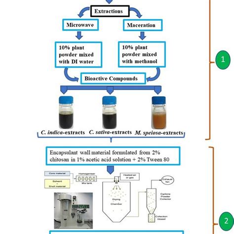 Procedure for bioactive compound extraction (1) and the... | Download ...