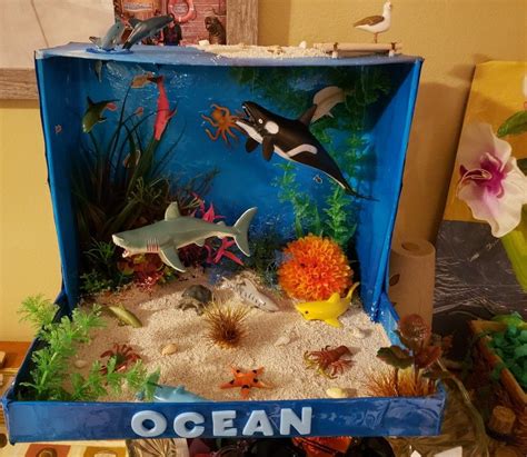 Ocean Diorama | Turtle habitat, Turtle crafts, Diorama kids